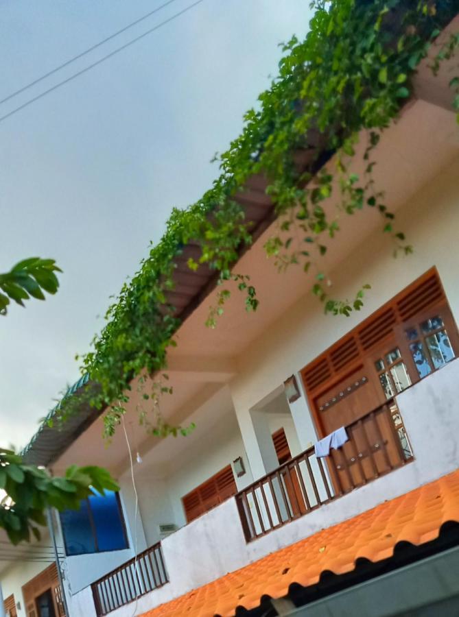 Green View Guest Mirissa Extérieur photo