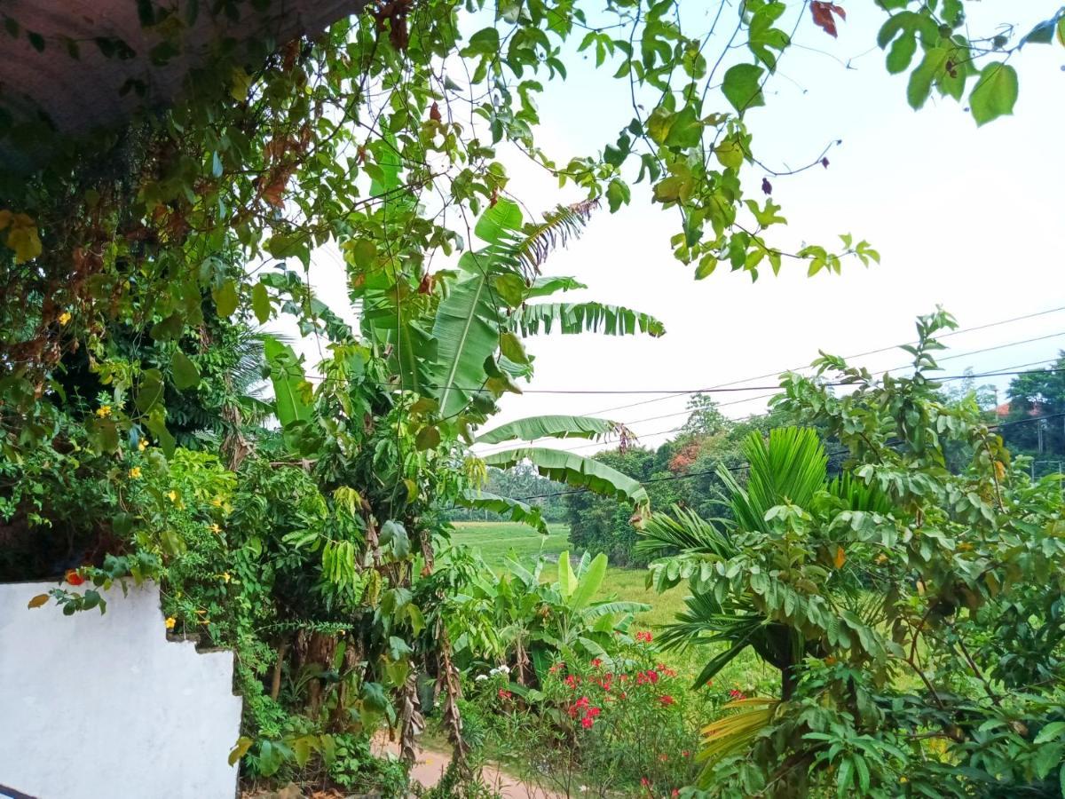 Green View Guest Mirissa Extérieur photo