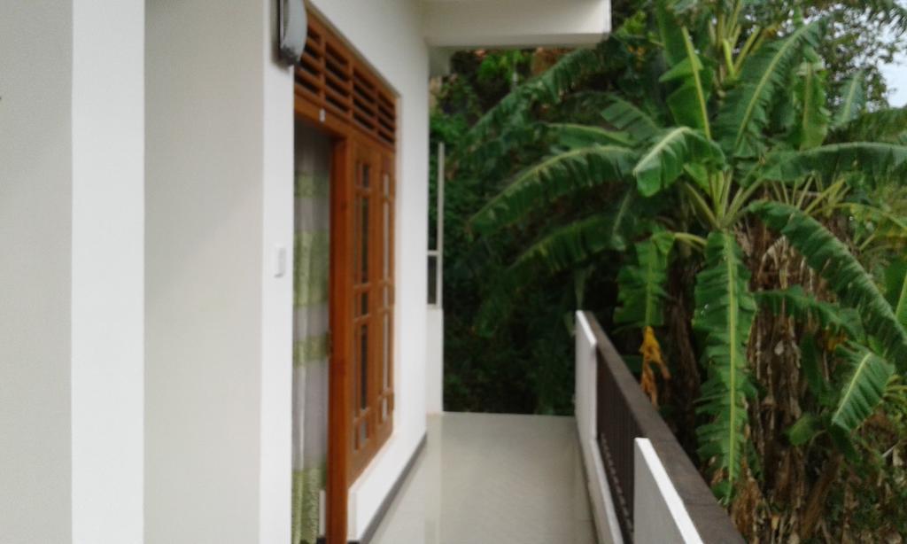 Green View Guest Mirissa Extérieur photo