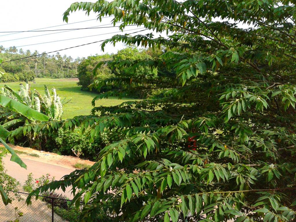 Green View Guest Mirissa Extérieur photo